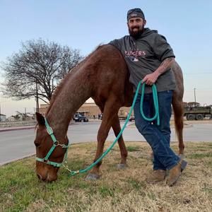 Meet your Posher, Josh